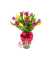 TULIPANES MULTICOLOR