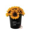 BOX DE GIRASOLES