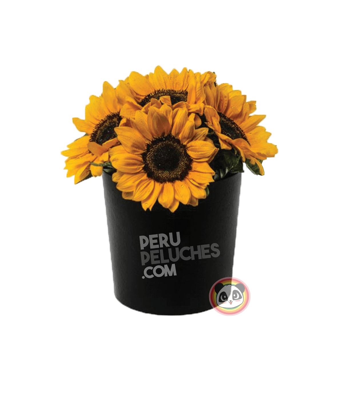 BOX DE GIRASOLES