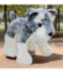 PERRO SCHNAUZER