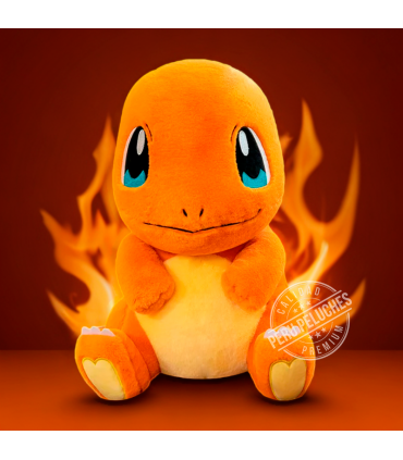 POKEMON CHARMANDER