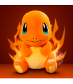 POKEMON CHARMANDER