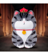 GATO GRUÑON EMPERADOR