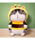 GATO GRUÑON ABEJA