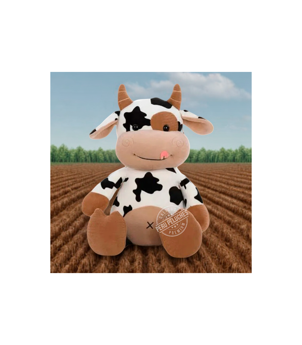 VACA BICOLOR