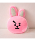 ALMOHADA COOKY BT21
