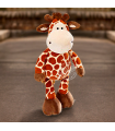 JIRAFA SAFARI