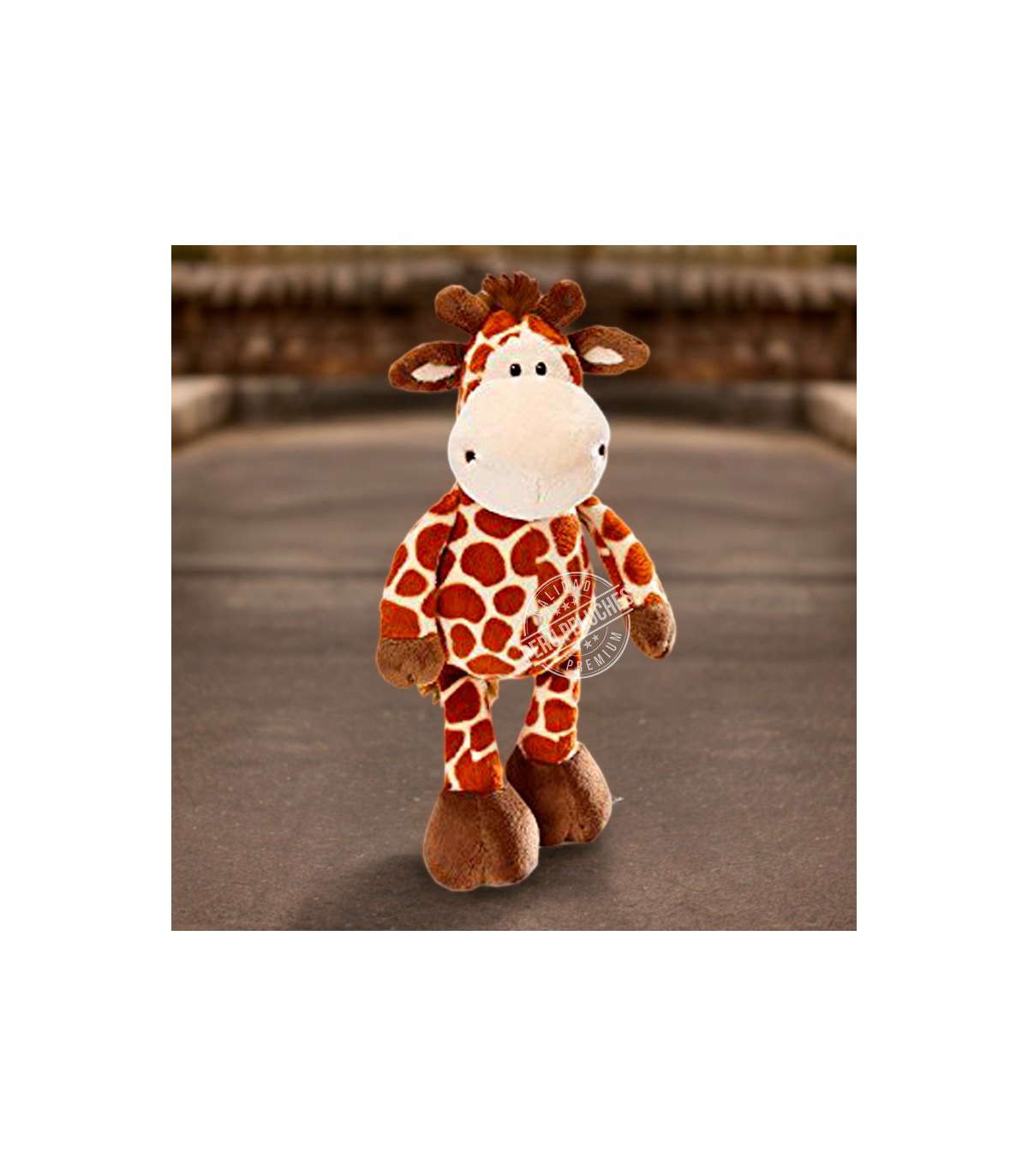 JIRAFA SAFARI