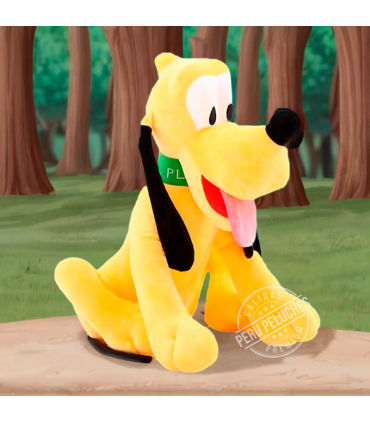 PLUTO