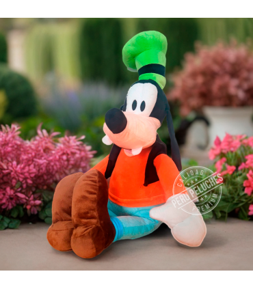 GOOFY