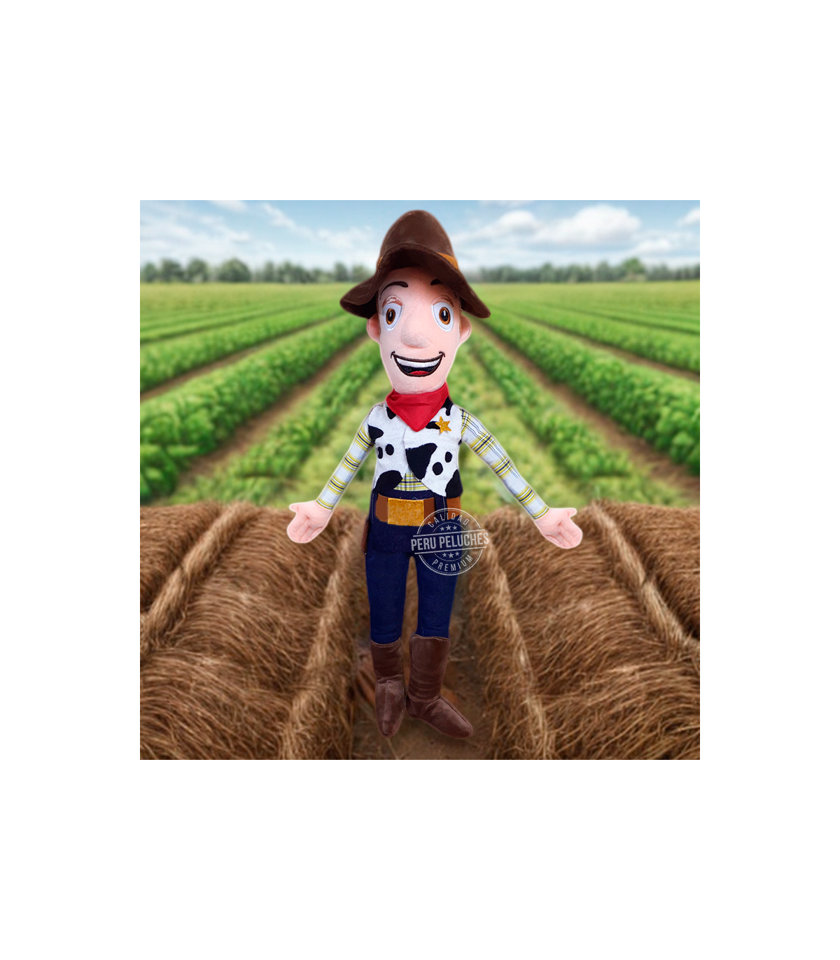 WOODY TOY STORY