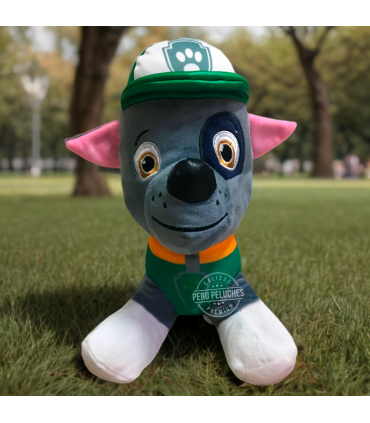 PAW PATROL ROCKY