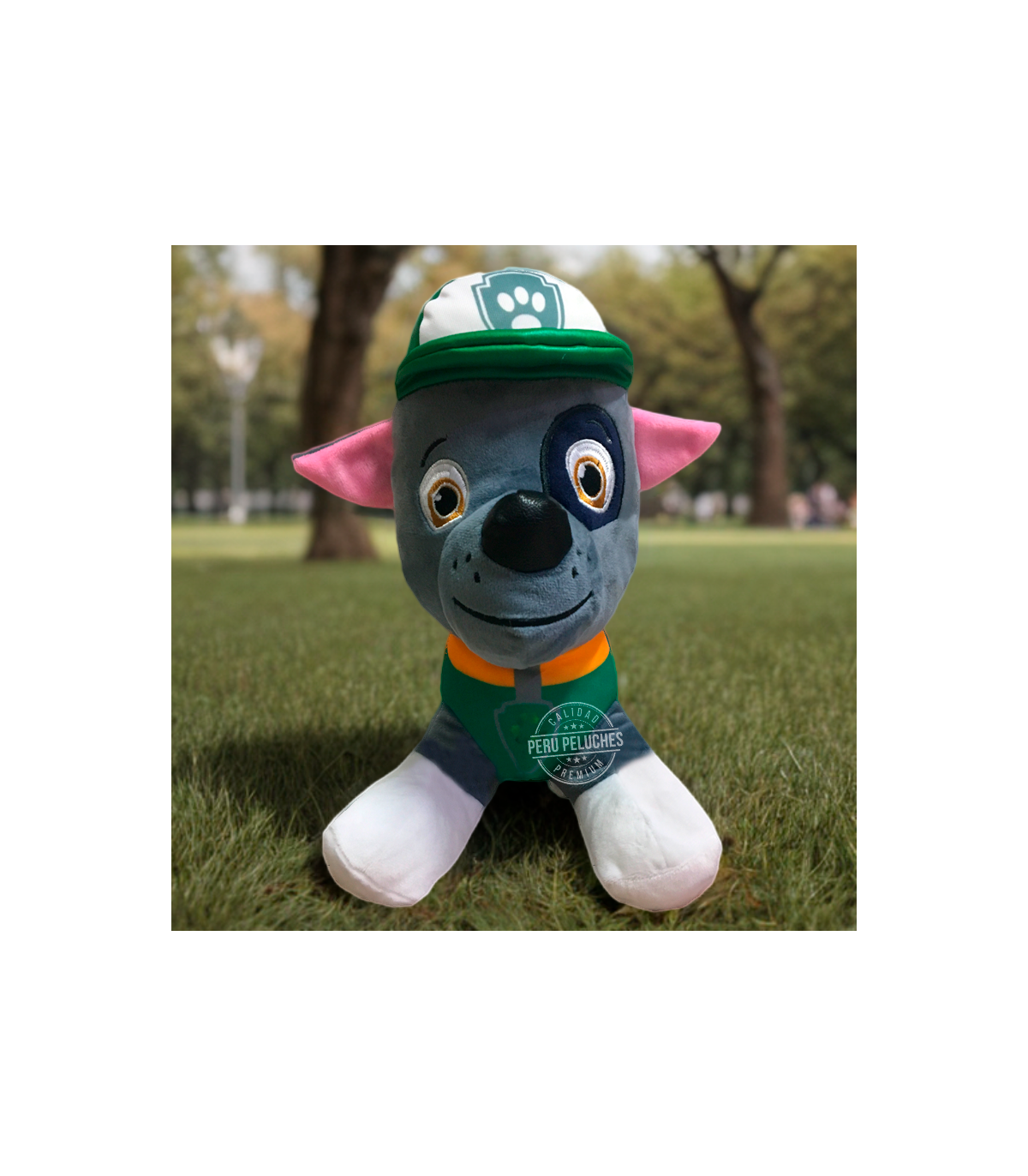 PAW PATROL ROCKY