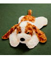 PERRITO ESPECIAL
