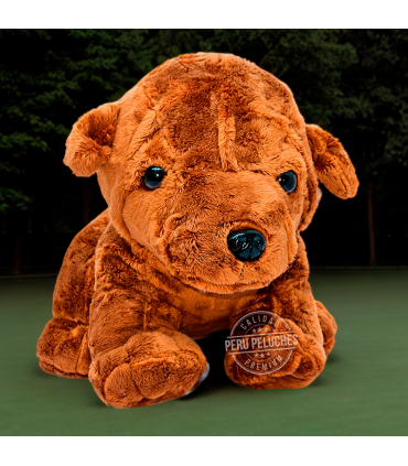 PERRO SHARPEI
