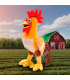 GALLO DE ZENON