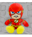 THE FLASH