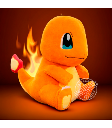 POKEMON CHARMANDER
