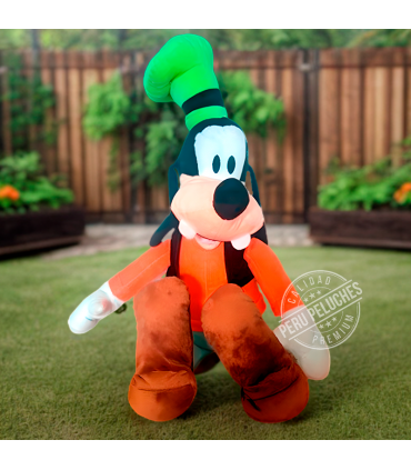 GOOFY