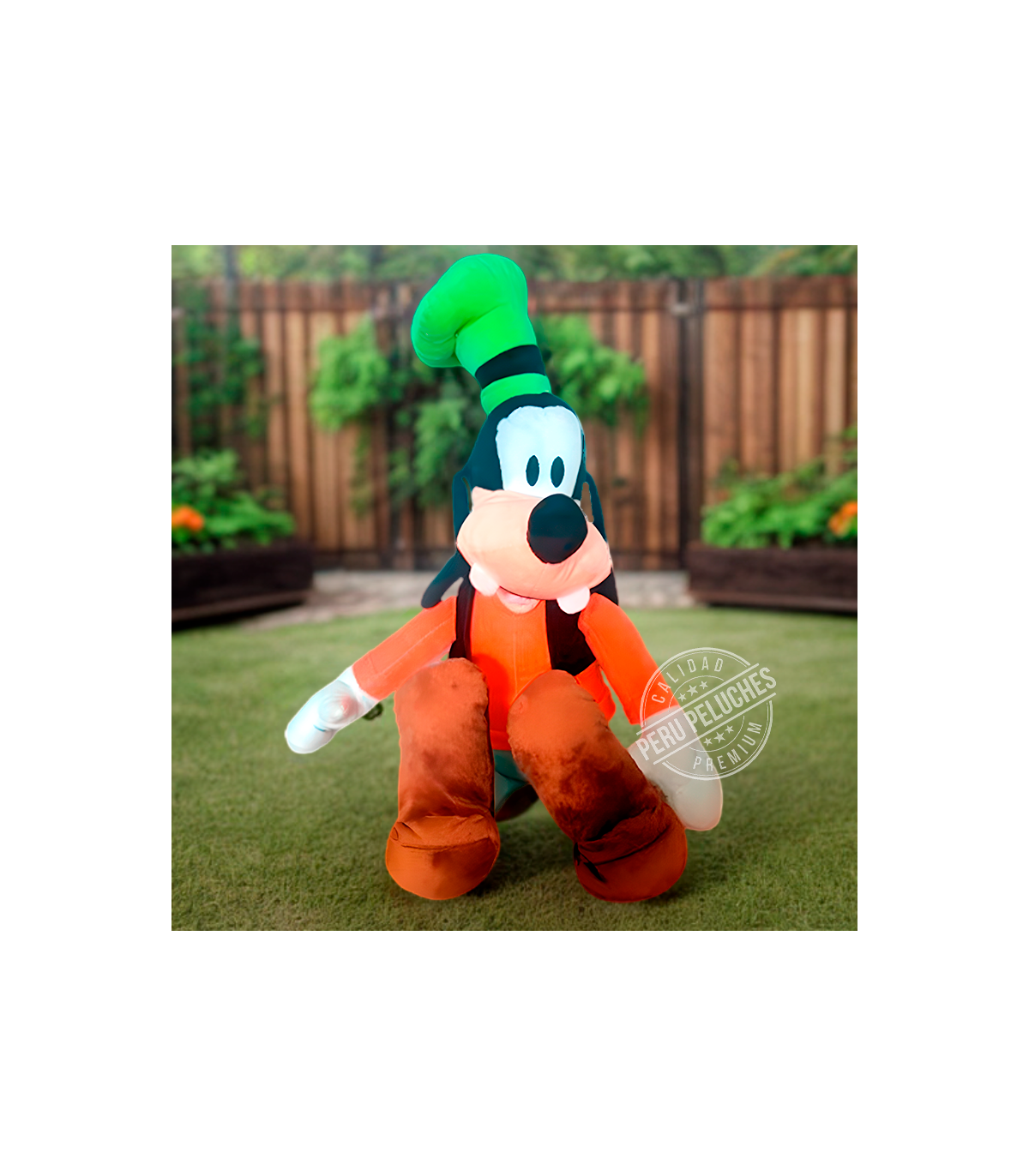 GOOFY