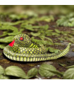 SERPIENTE CULEBRA VERDE