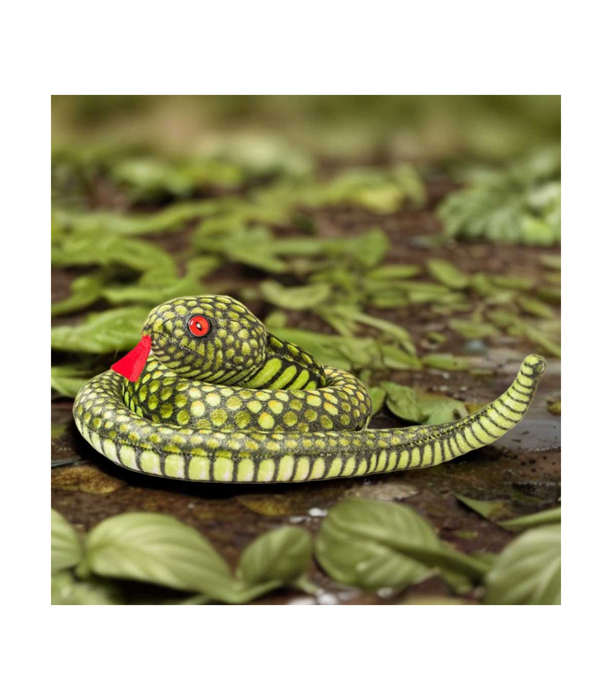 SERPIENTE CULEBRA VERDE
