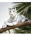 TIGRE BLANCO REAL