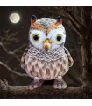 BUHO LECHUZA NOCTURNA