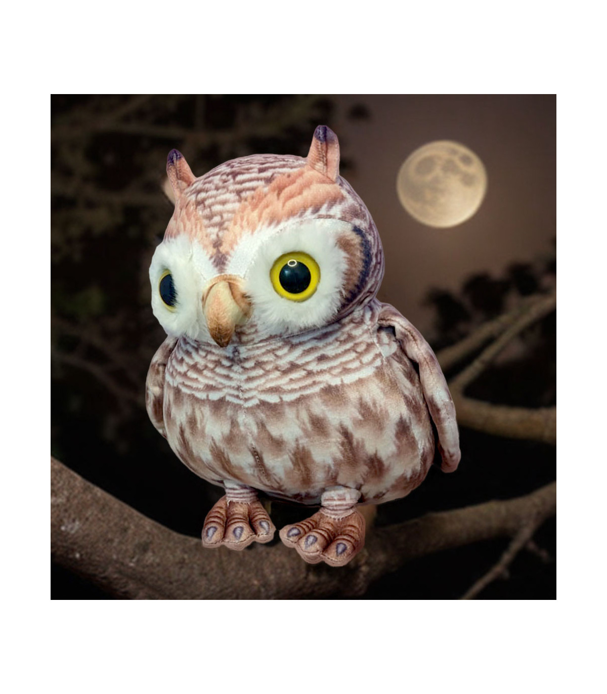 BUHO LECHUZA NOCTURNA
