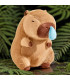 CAPIBARA CON RESFRIO