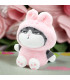 GATO EMPERADOR ROSA