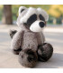 MAPACHE NICI