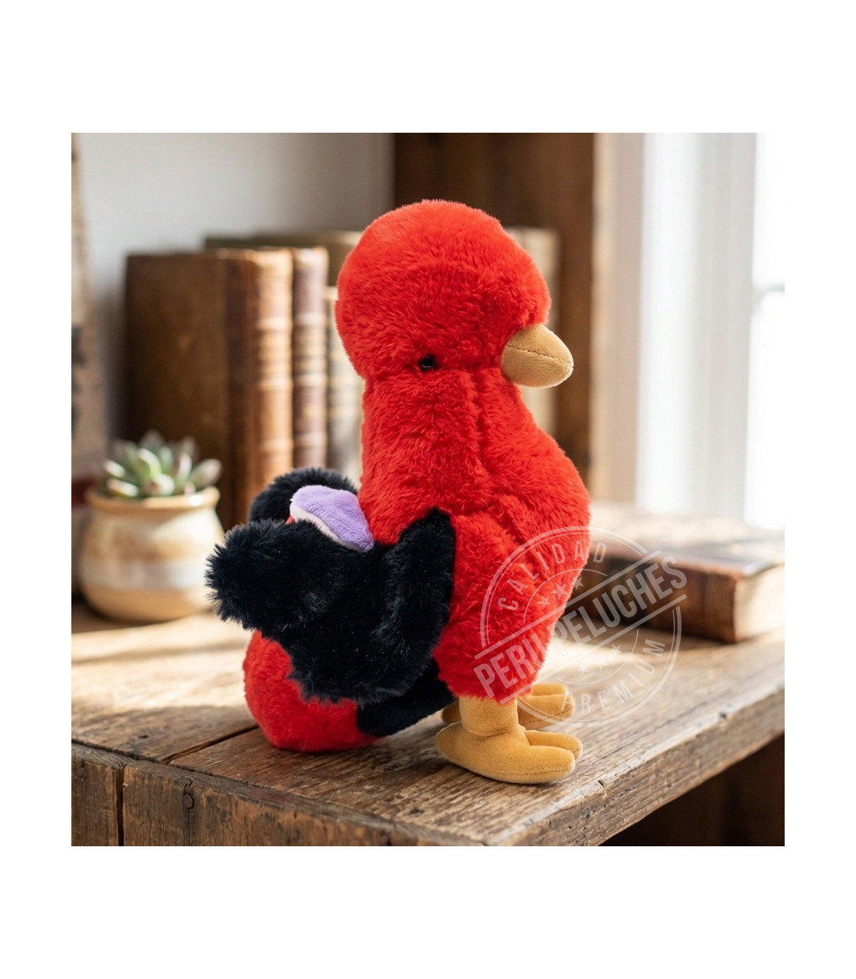 GALLITO DE LAS ROCAS
